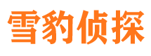 灵山侦探公司